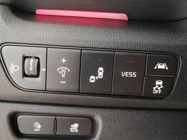 Kia Eniro eNiro 150kW Emotion Long Range