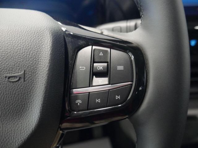Ford Tourneo Custom 2.5 Duratec PHEV 171kW L2 Titanium eCVT