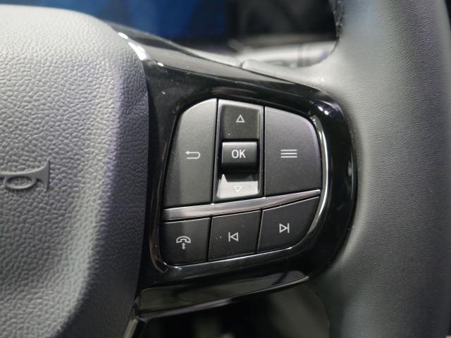 Ford Tourneo Custom 2.0 EcoBlue 125kW L1 Titanium Auto