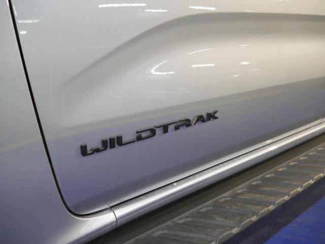 Ford Ranger 2.3 TIVCT PHEV e-AWD D Cab Wildtrack AT