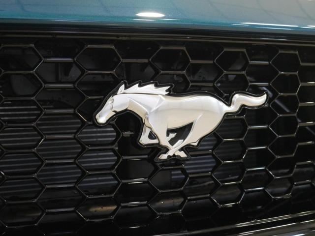 Ford Mustang 5.0 Ti-VCT V8 331KW Mustang GT AT(Conv.)