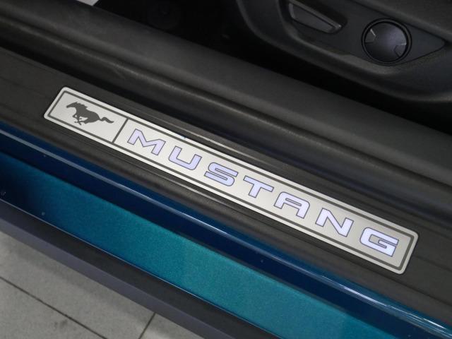 Ford Mustang 5.0 Ti-VCT V8 331KW Mustang GT AT(Conv.)