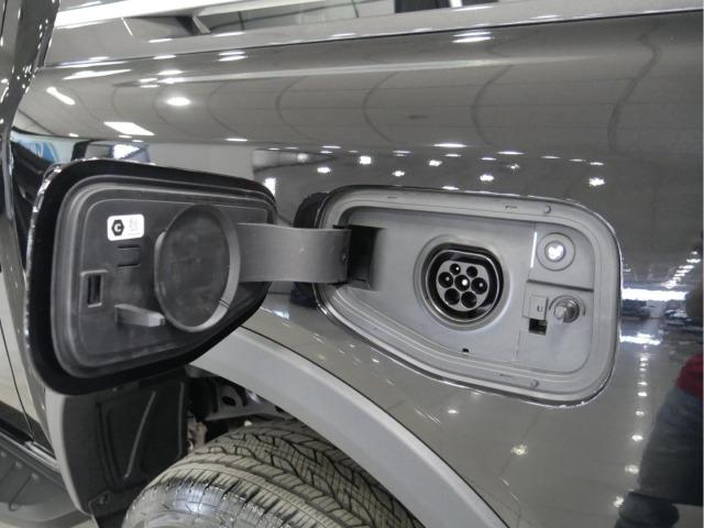 Ford Ranger 2.3 TIVCT PHEV e-AWD D Cab Wildtrack AT