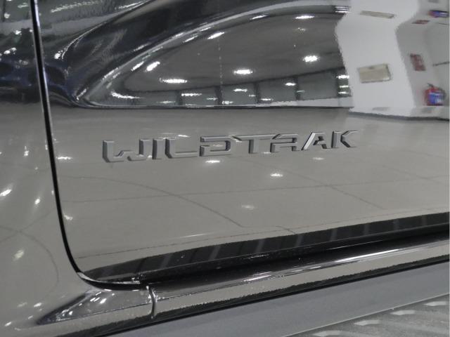 Ford Ranger 2.3 TIVCT PHEV e-AWD D Cab Wildtrack AT