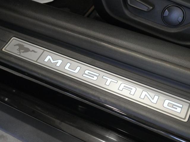 Ford Mustang 5.0 Ti-VCT V8 336kW Mustang GT (Conv.)