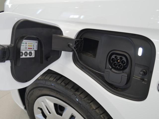 Ford Transit Connect FlexCab 1.5L EcoBoost PHEV 110kW Trend L2 Auto