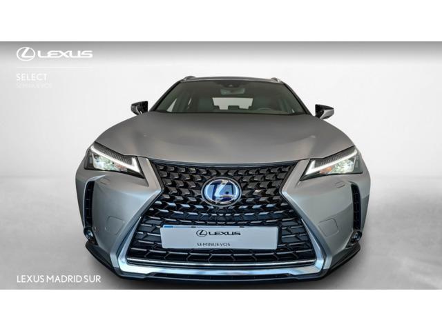 Lexus UX BUSINESS
