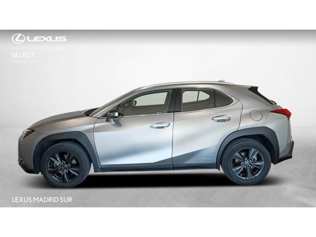 Lexus UX BUSINESS