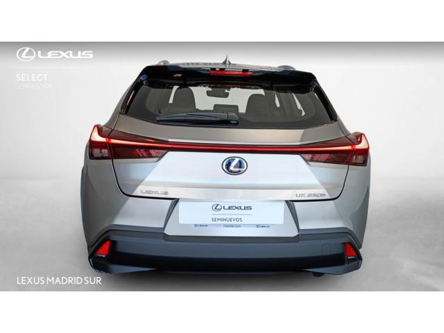 Lexus UX BUSINESS