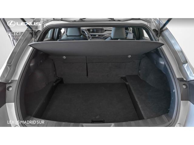 Lexus UX BUSINESS
