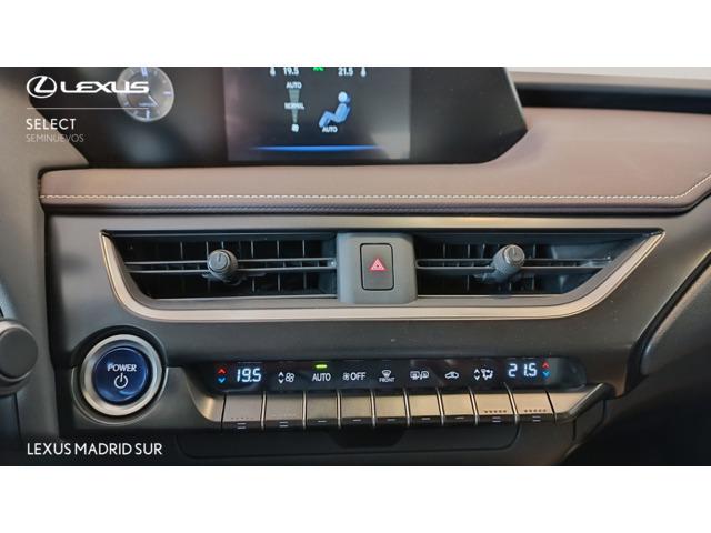 Lexus UX BUSINESS NAVIGATION