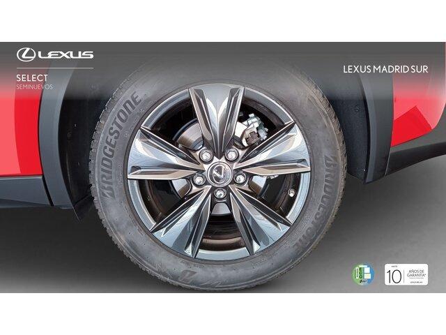 Lexus UX BUSINESS NAVIGATION
