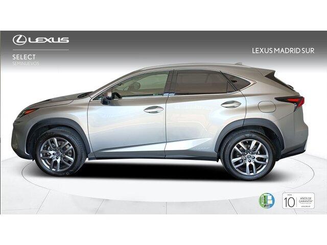 Lexus NX EXECUTIVE