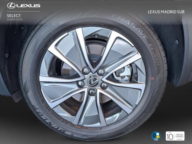 Lexus UX BUSINESS