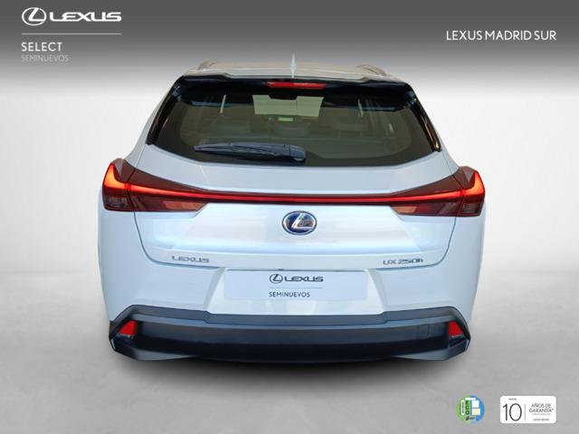 Lexus UX BUSINESS