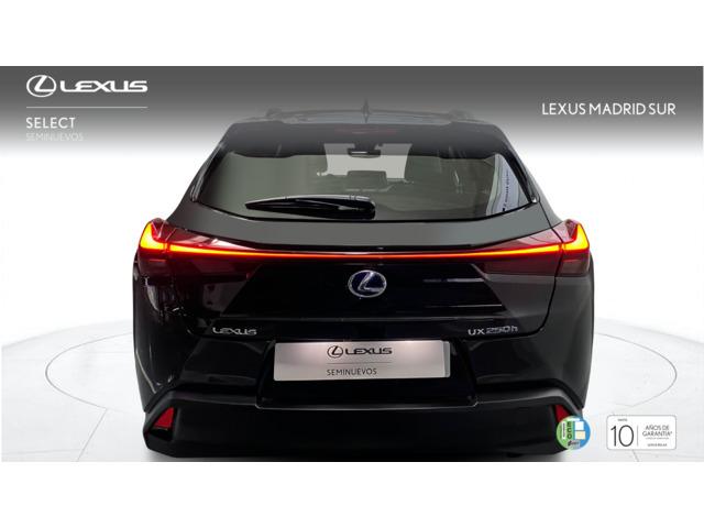 Lexus UX BUSINESS
