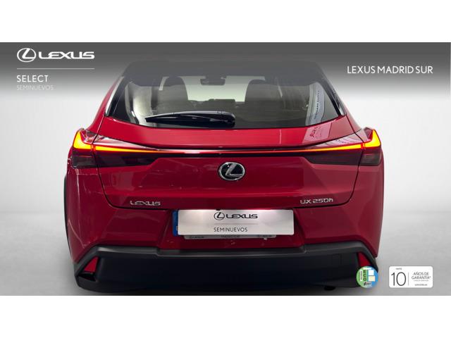 Lexus UX BUSINESS
