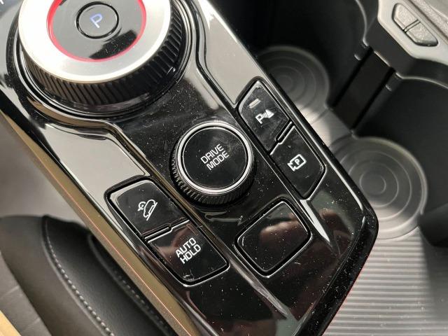 Kia Sportage 1.6 TGDi HEV 158kW 215CV Tech 4x4