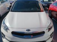 Kia Xceed 1.0 TGDi Concept 88kW 120CV