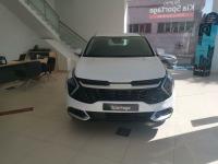 Kia Sportage 1.6 TGDi PHEV 198kW 265CV Tech 4x4