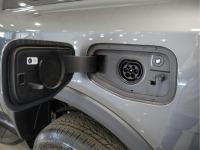 Ford Ranger 2.3 TIVCT PHEV e-AWD D Cab Wildtrack AT