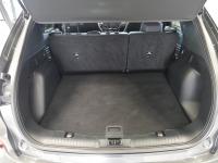 Ford Kuga Titanium 1.5T EcoBoost 110kW (150CV)
