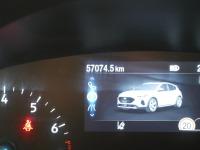 Ford Focus 1.0 Ecoboost MHEV 114kW Active Auto