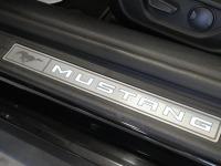Ford Mustang 5.0 Ti-VCT V8 336kW Mustang GT (Conv.)
