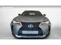 Lexus UX BUSINESS