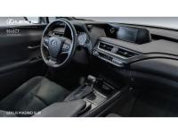 Lexus UX BUSINESS