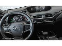 Lexus UX BUSINESS