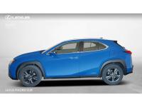 Lexus UX BUSINESS