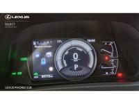 Lexus UX BUSINESS NAVIGATION