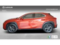 Lexus UX BUSINESS NAVIGATION