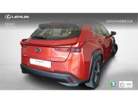 Lexus UX BUSINESS NAVIGATION