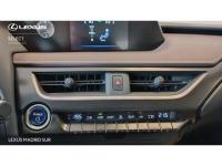 Lexus UX BUSINESS NAVIGATION