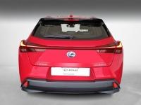 Lexus UX EXECUTIVE NAVIGATION