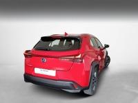 Lexus UX EXECUTIVE NAVIGATION