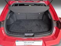 Lexus UX EXECUTIVE NAVIGATION