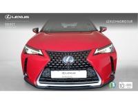 Lexus UX BUSINESS NAVIGATION