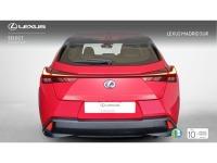 Lexus UX BUSINESS NAVIGATION