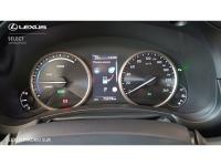 Lexus NX EXECUTIVE