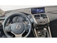 Lexus NX EXECUTIVE