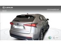 Lexus NX EXECUTIVE