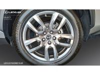Lexus NX EXECUTIVE