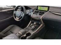 Lexus NX EXECUTIVE