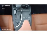 Lexus UX LUXURY