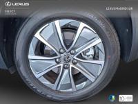 Lexus UX BUSINESS