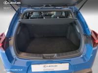 Lexus UX BUSINESS