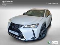 Lexus UX BUSINESS